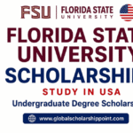 Florida State University Scholarships 2026: A Guide for International Undergraduates