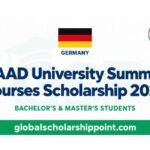 DAAD University Summer Courses Scholarship 2027 funded German-language program in Germany